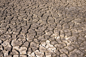 Dried mud texture from a pond that lost its water supply