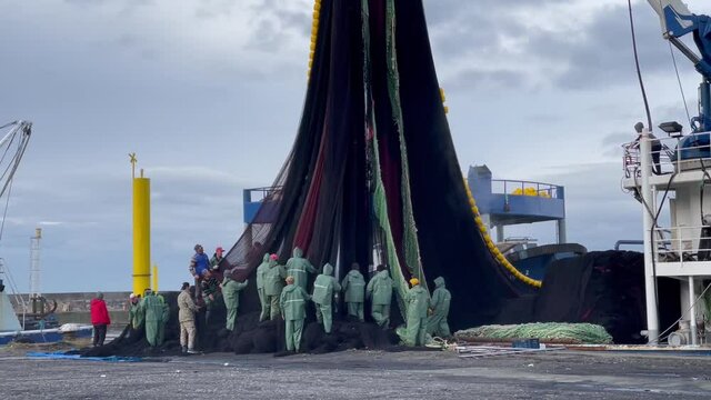 Workers Wearing Raincoats Repairing Fishing Net