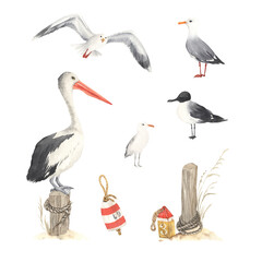 Set of nautical birds seagulls, pelican and decorations buoys, watercolor isolated illustration on white background, sea symbols, wild birds, collection drawing elements for your design.