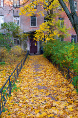 View of alley with city house, autumn tree, fallen golden leaves on sidewalk
