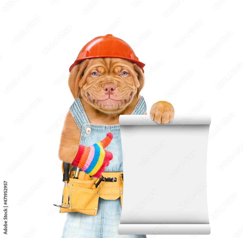 Poster Funny puppy wearing helmet and  overalls with tool belt shows empty list and thumbs up gesture. Isolated on white background