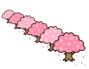 かわいい桜並木