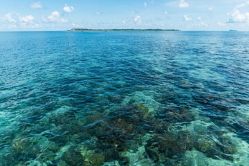 beautiful view of the clear turquoise and blue sea water as well as the rocky bottom surface of the coral and seaweed
