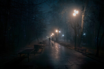 Street lights foggy misty night lamp post lanterns city road. Night fog park scenery with abstract...