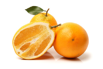 orange fruit 