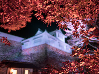 ライトアップされた紅葉と城