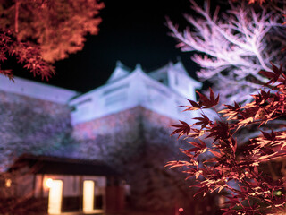 ライトアップされた紅葉と城