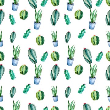 Watercolor succulents and cactuses seamless pattern. Floral background.
