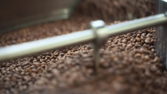 Closeup view of process of roasting coffee beans inside equipment in modern plant spbas. Brown Arabica or Robusta seeds rotated and dried, roasted inside metal automatic container that works in