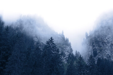 Mysterious foggy landscape with rocks, trees and bushes. Morning mist in the mountains