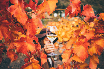 Smiling young woman in stylish hat and coat drinks delicious white wine from wineglass and making selfie near colorful vineyard on autumn day.