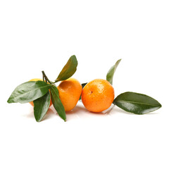 tangerine or mandarin orange on white background 
