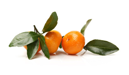 tangerine or mandarin orange on white background 