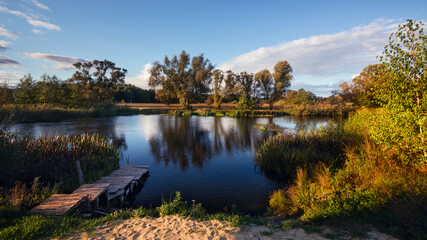 Fototapeta premium reflection of trees in the lake