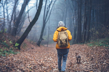 Fototapeta premium Young woman in a yellow jacket walking traveling with her dog in the autumn foggy forest