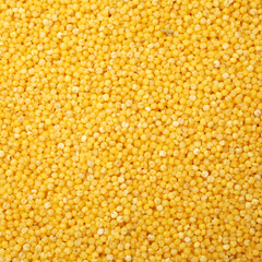 Millet on white background