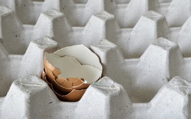 egg shells in a carton