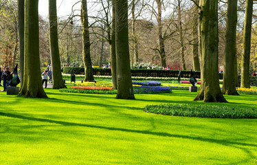 beautiful spring park in Holland