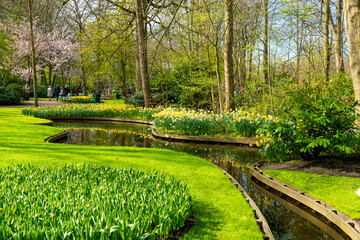 beautiful spring park in Holland