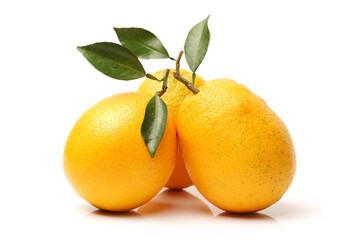 Orange fruit on the white background