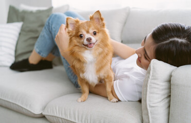 Portrait of beautiful young Asian woman lying on sofa with brown pretty chihuahua pet dog looking at camera in living room of her cozy house. People and dogs, pets adoption, Friendly Concept. - Powered by Adobe