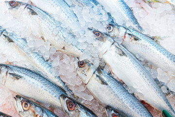 Food backgrounds. Fresh mackerel on. Scombridae Saba fish.