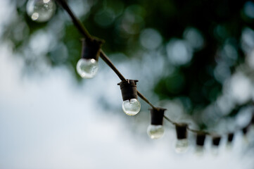 Several light bulbs lined up against a bokeh background.