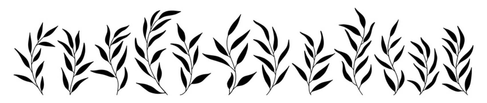 Silhouettes of long leaves of olive set. Vector hand drawn illustration in simple scandinavian doodle cartoon style. Isolated black branches on a white background.