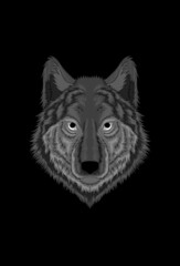 Wolf vector illustration