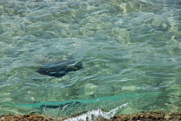 Naklejka premium The view of Red sea, Saudi arabia