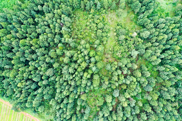 Scenic aerial view flying over the land field.