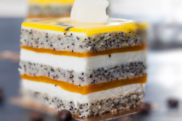 multi-layered sponge cake with poppy seeds