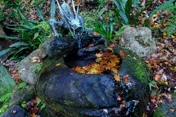 三滝寺の秋の彩り