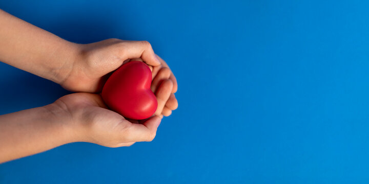 hands holding a red heart concept of health, love, organ donation, family insurance, world heart day, world health day, wellness, gratitude, be kind, be grateful