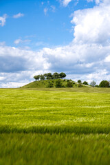 Scenic spring landscape of the Kronsberg in Hannover, Germany.