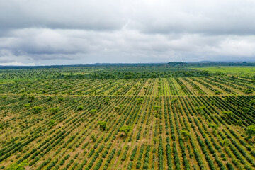 Scenic aerial view flying over the land field.