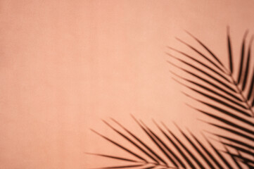 Palm leaves shadows on sienna background. Minimalism.