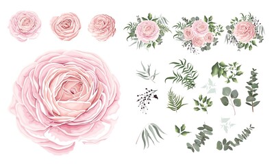 Vector set of pink roses and plants. Compositions of plants. Plants and flowers isolated on a white background. Eucalyptus, berries, leaves, plants. Elements for floral design.