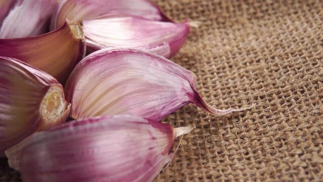 Purple garlic cloves on a rough rustic burlap. Natural medicine for disease prevention concept. Macro. Rotation