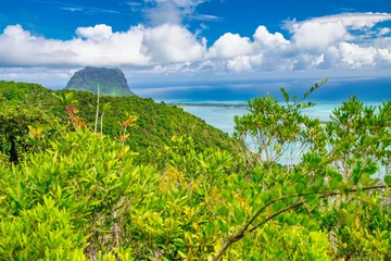 Poster Le Morne, Maurice Aerial view of beautiful tropical island, Mauritius and Le Morn