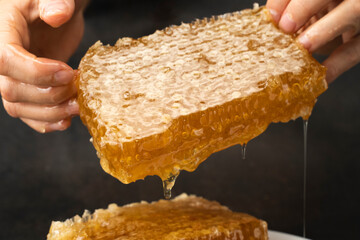 Honeycombs, textured with Golden organic honey, in sunlight, on black background. Sweet honeycomb in the hands of beekeeper close-up. Drops of honey flow down the combs and hands of pastry chef