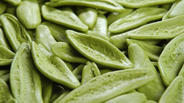 Italian handmade vegetable green spinach pasta. Olive leaf shape. Foglie di ulivo uncooked macaroni. Slow rotation. Macro