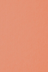 Peach color cardboard surface. Vertical peachy background with a pastel tint. Textured soft paperboard backdrop. Paper texture with cellulose fibers. Macro