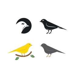 canary bird icon vector illustration concept design