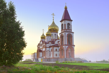 Fototapeta na wymiar The Church of the New Martyrs and Confessors of Russia
