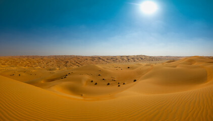 Orange sands desert resort in the Empty Quarter (Rub' al Khali) area of Abu Dhabi, United Arab Emirates