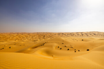 Orange sands desert resort in the Empty Quarter (Rub' al Khali) area of Abu Dhabi, United Arab Emirates