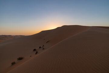 Fototapeta na wymiar Sunset in the arabian desert with rolling sand dunes in Abu Dhabi, United Arab Emirates