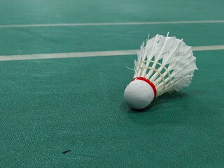Close-Up Of Shuttlecock In Court