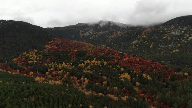 Beautiful mixed forest in autumn. Pinar de Lillo, Le&oacute;n. 4K Higher Dolly In aerial footage.